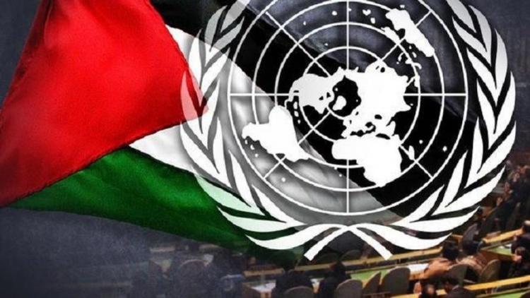 الأمم المتحدة وفلسطين