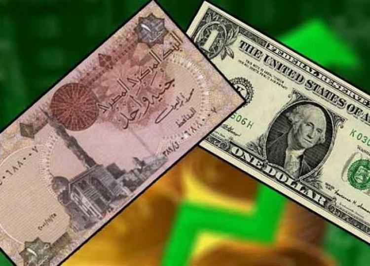 الدولار أمام الجنيه المصري