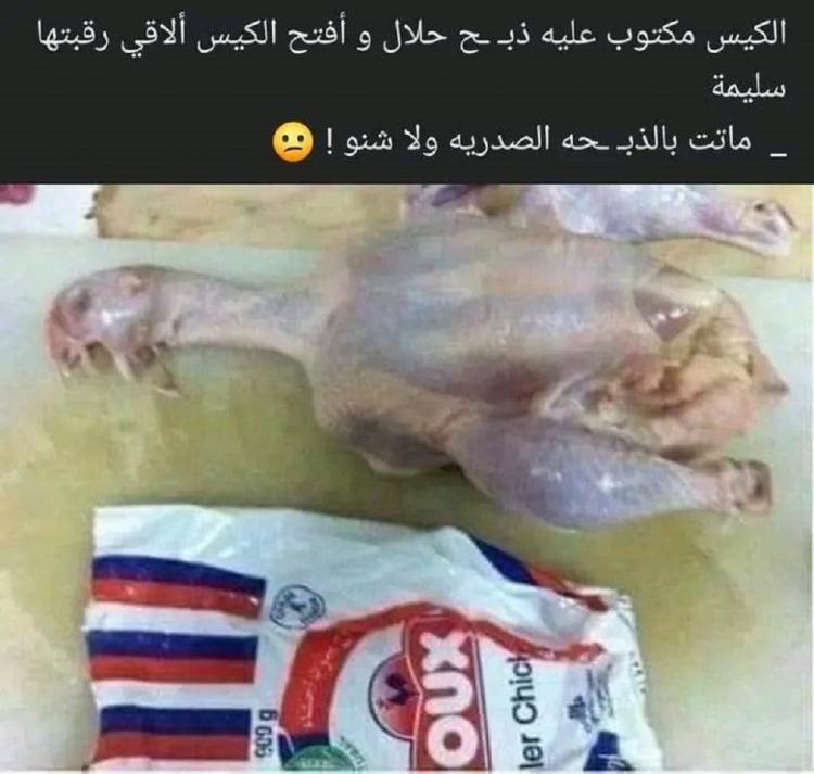 دجاجة غير مذبوحة على الشريعة الإسلامية