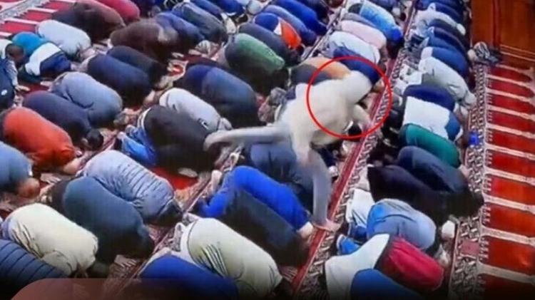 لحظة طعن إمام مسجد أثناء صلاة الفجر