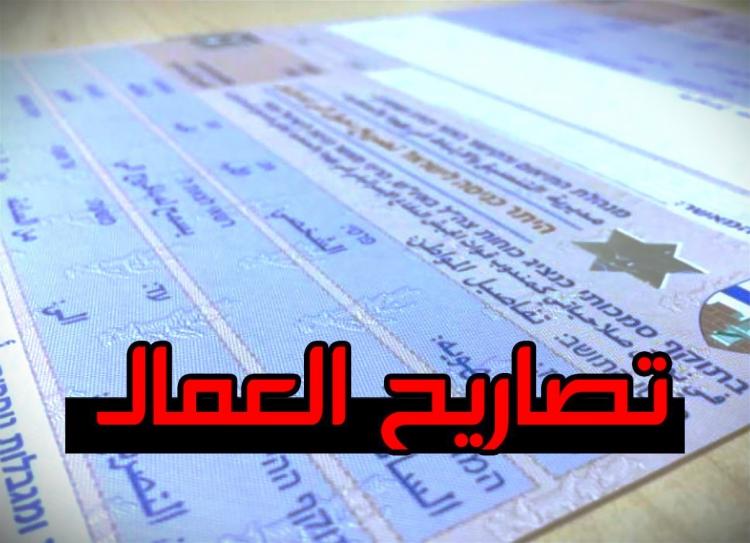رابط فحص التصاريح بالألوان 2023 في غزة