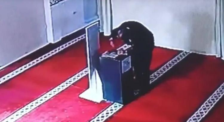 لص سرق أموال التبرعات