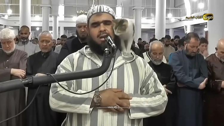 جانب من الفيديو