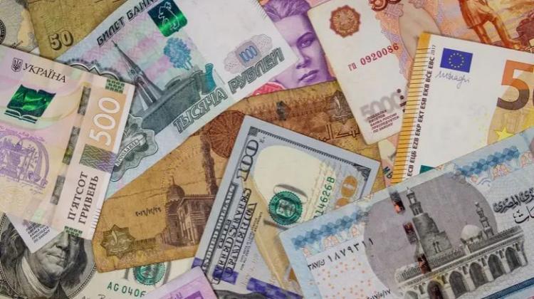سعر الدولار في مصر
