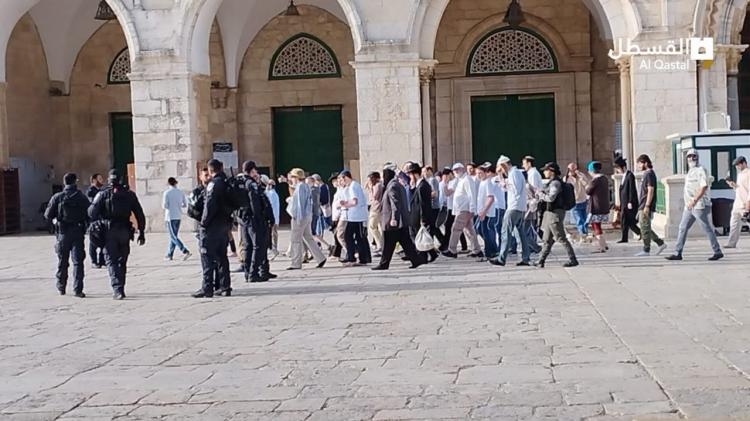 اقتحام مجموعات من المستوطنين باحات المسجد الأقصى