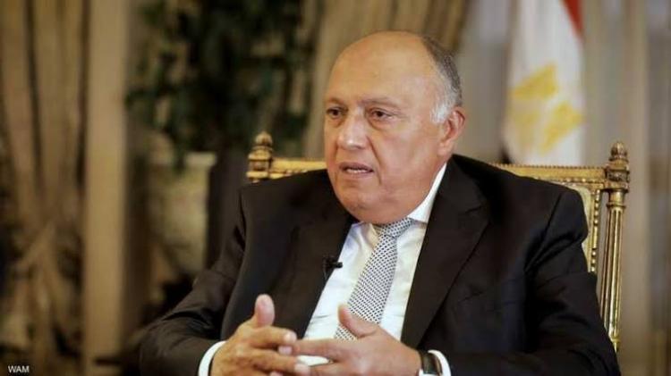 وزير الخارجية سامح شكري