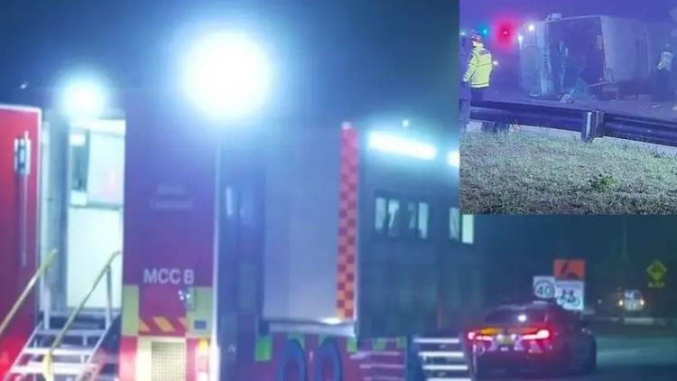 "فرح تحول إلى مأتم".. حفل زفاف بمزرعة عنب ينتهي بمأساة