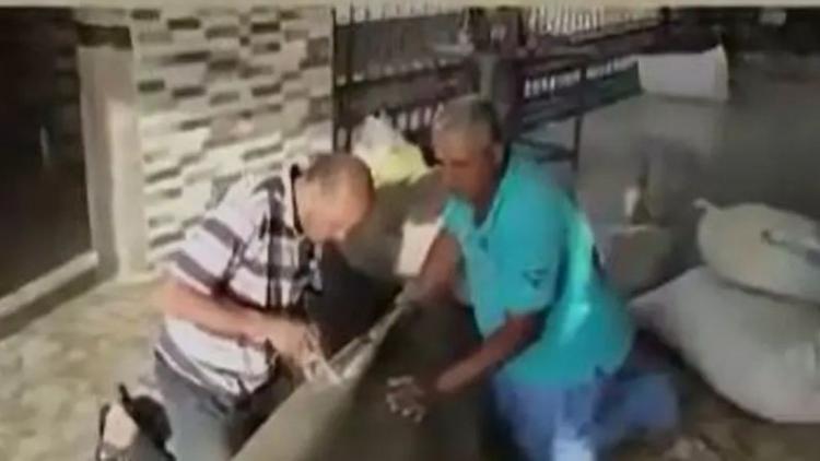 مصير السمكة القاتلة.. شاهد عملية تحنيط القرش مفترس السائح في الغردقة