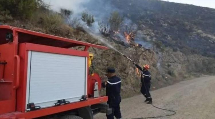 حرائق في الجزائر