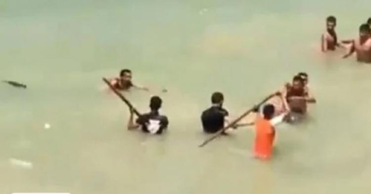 مشاجرة في البحر