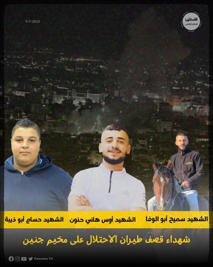 شهداء جنين 3