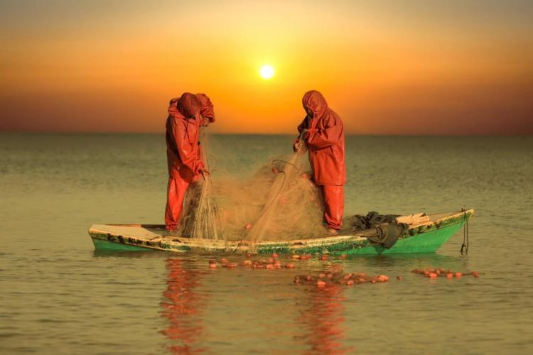 ارتفاع درجات الحرارة