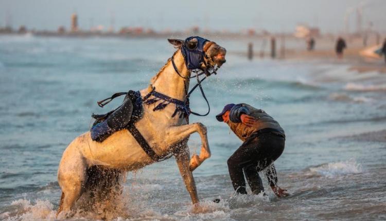 صورة تعبيرية
