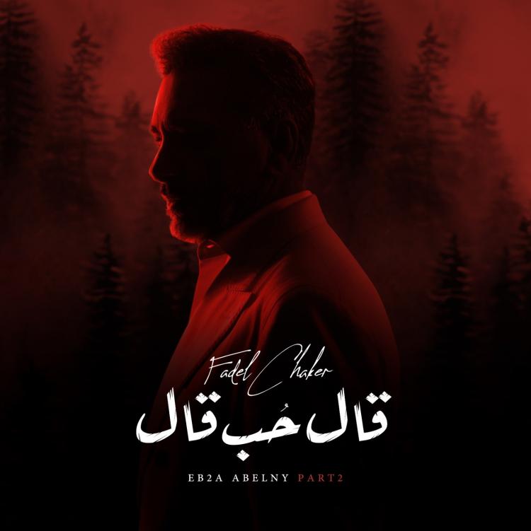 غلاف البوم فضل شاكر