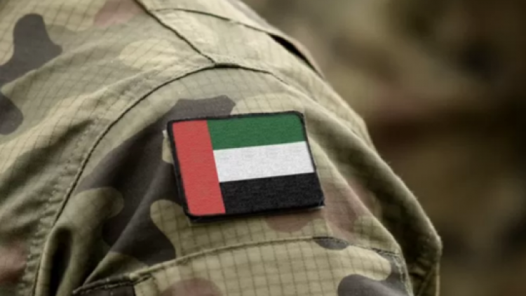 شرطة دبي