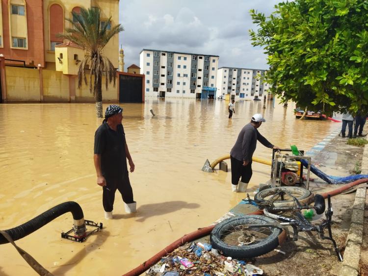 سيول في مطروح