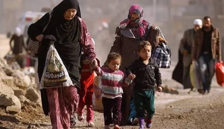 الحرب في غزة.jpeg