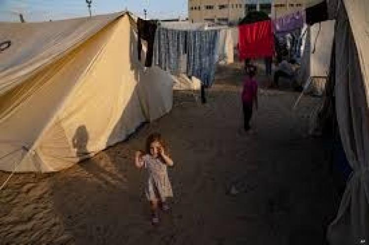 خيام النازحين في رفح