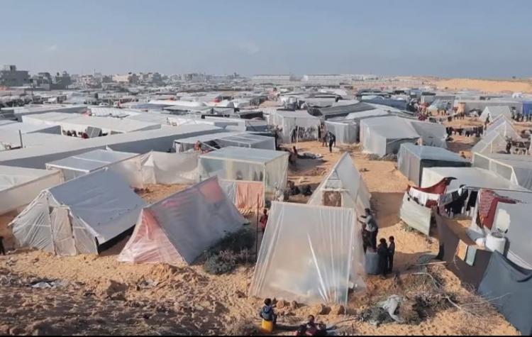 خيم النازحين في رفح