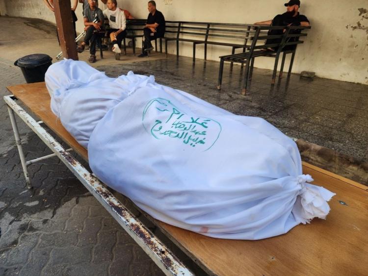 الصحفية علا الدحدوح