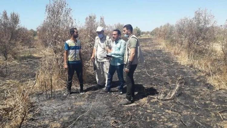 اصحاب اراضي زراعية في غزة يتفقدونها عقب تدميرها من قبل الاحتلال