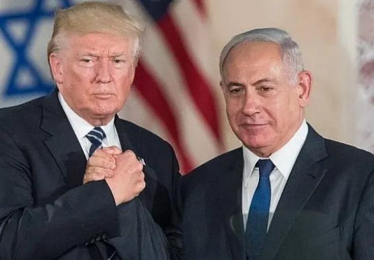 صورة تجميعية