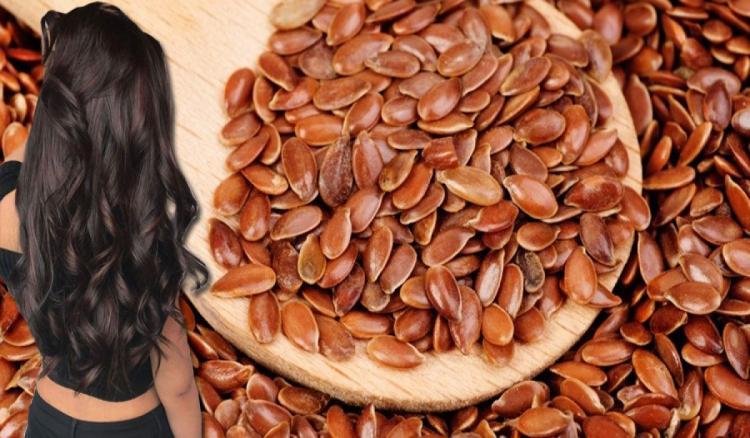 بذور الكتان للشعر
