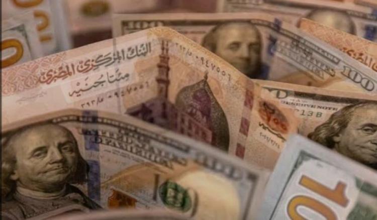 سعر الدولار