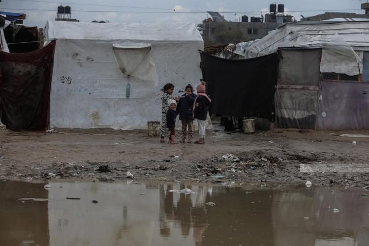 انخفاض عدد سكان قطاع غزة بمقدار 6%