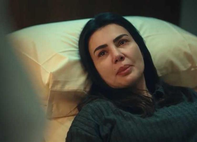 مسلسل حكيم باشا