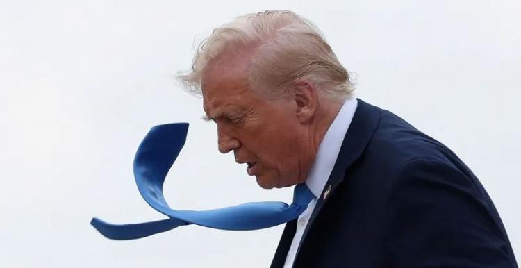 دونالد ترامب