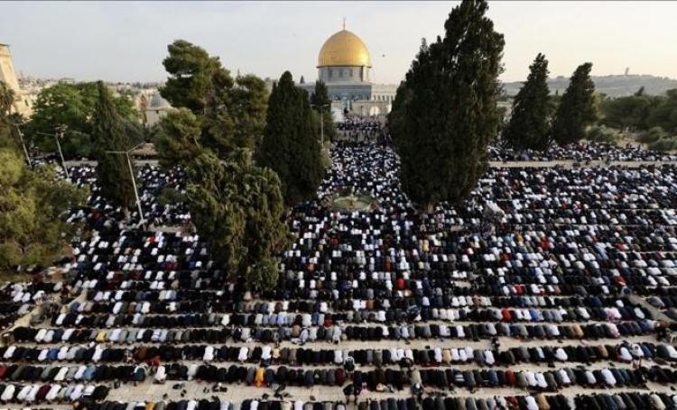 عيد الأضحى