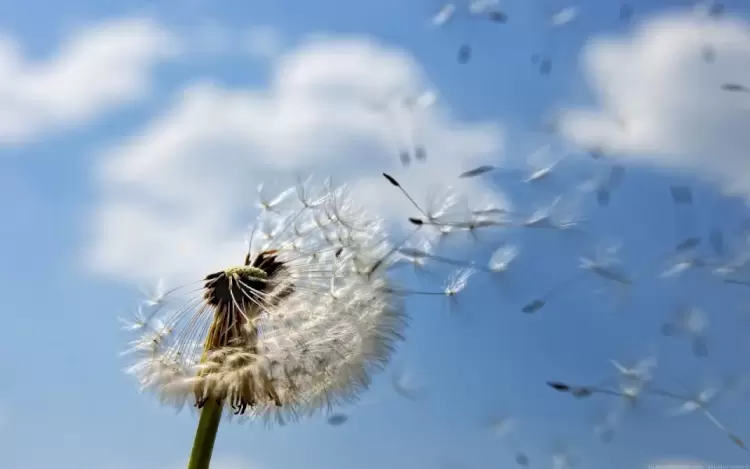 صورة تعبيرية
