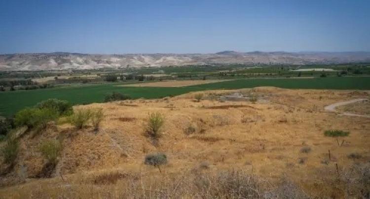 غور الأردن