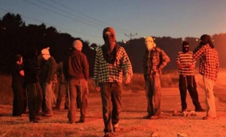 عنف المستوطنين