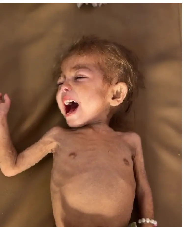 ارجوان الدهيني