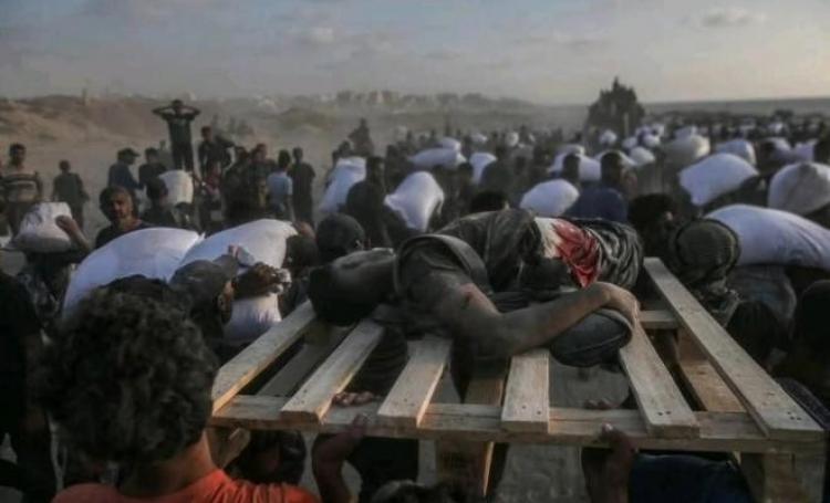 المدنيين في غزة