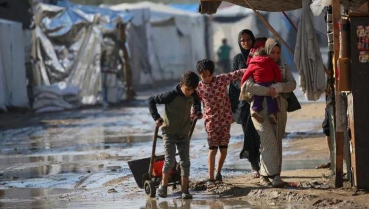 المنخفض الجوي بغزة