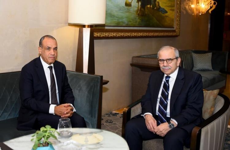 وزير الخارجية المصري ونظيره اللبناني