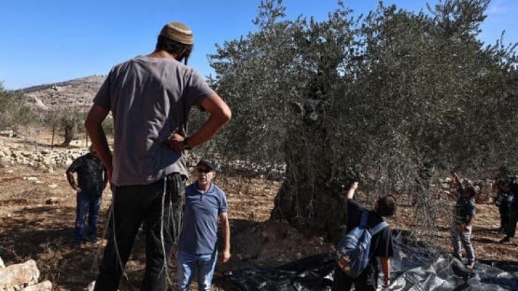 اعتداءات المستوطنين