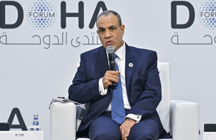 وزير الخارجية المصري