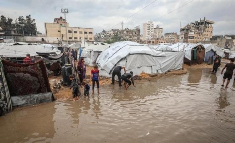 خيام النازحين