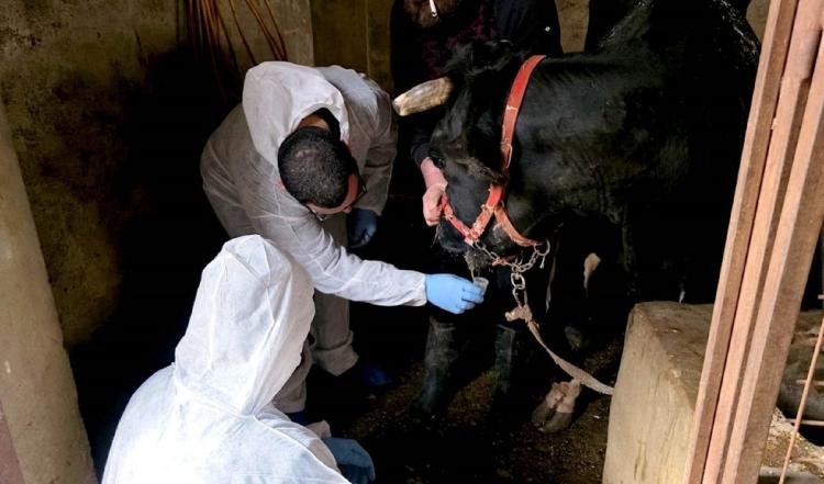 صورة ارشيفية