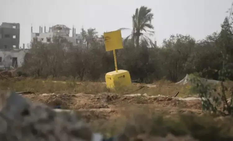 الخط الأصفر