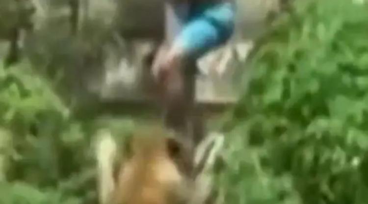 جانب من الفيديو