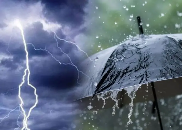 صورة تعبيرية