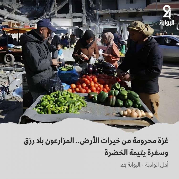 سوق غزة