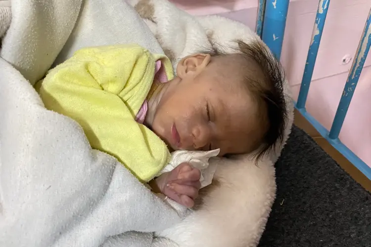 صورة تعبيرية