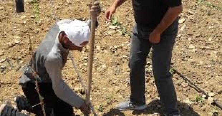 صورة تعبيرية