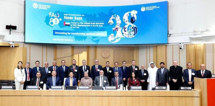 المؤسسات الدولية